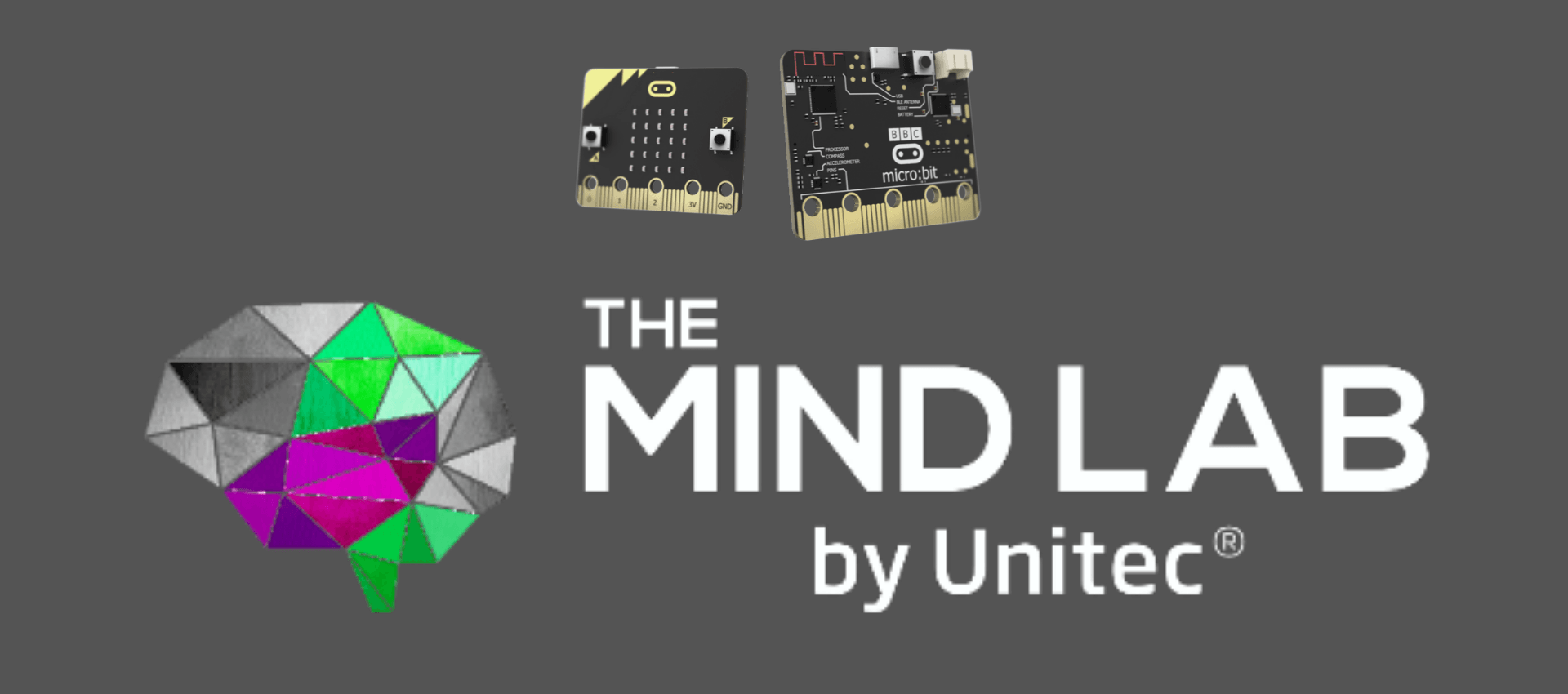 Mind Lab Using Micro:Bit's for Teacher Education Programmes